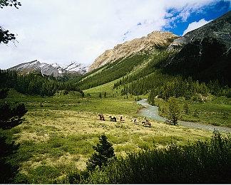 《马里奥赛车8豪华版》第三波DLC赛道12月8日上线